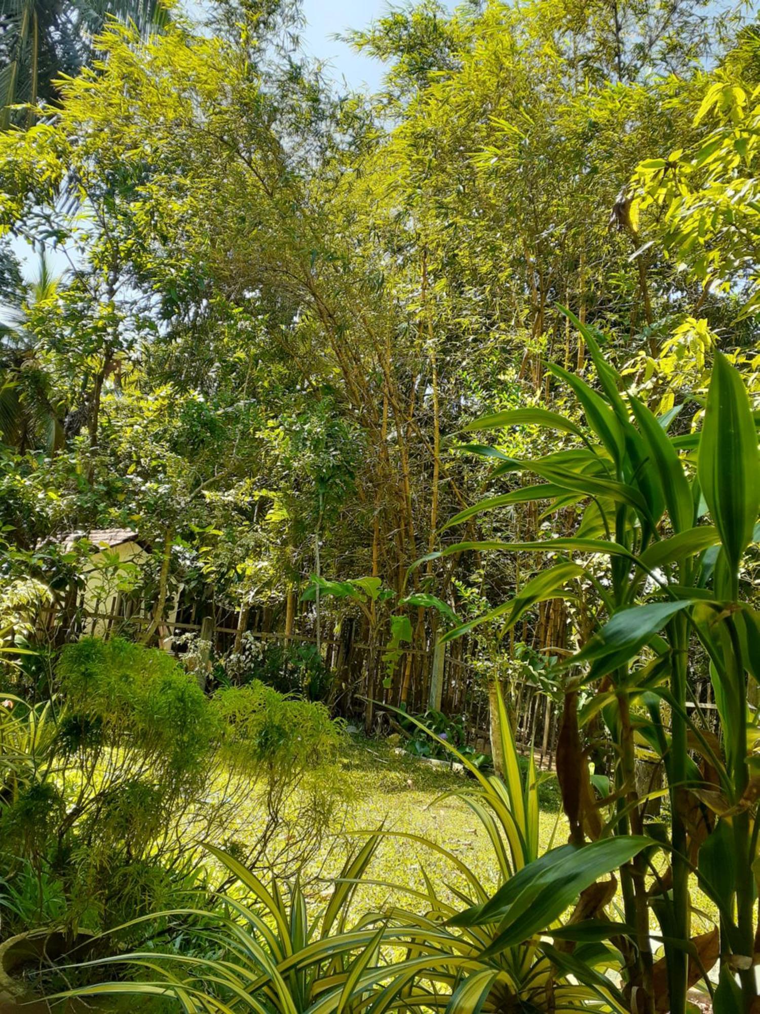 Bamboo Home Stay Hiriketiya Dickwella Exterior photo